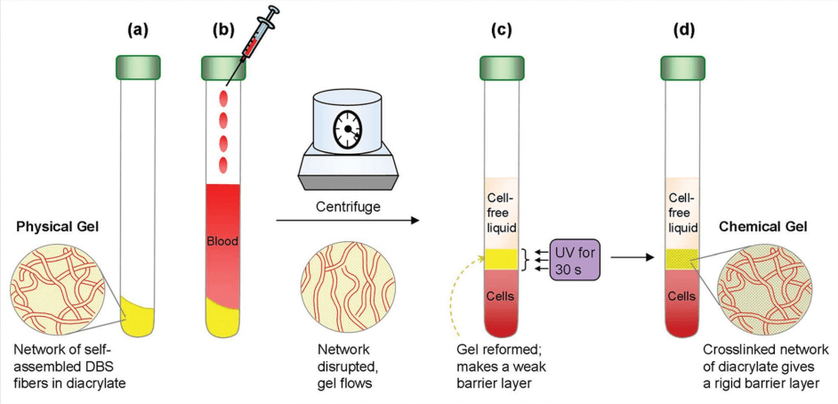  a gel separating the plasma from white blood cells and red blood cells
